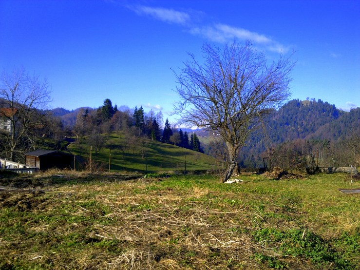Slovenia in the first weekend of January. Normally the green would be white here.