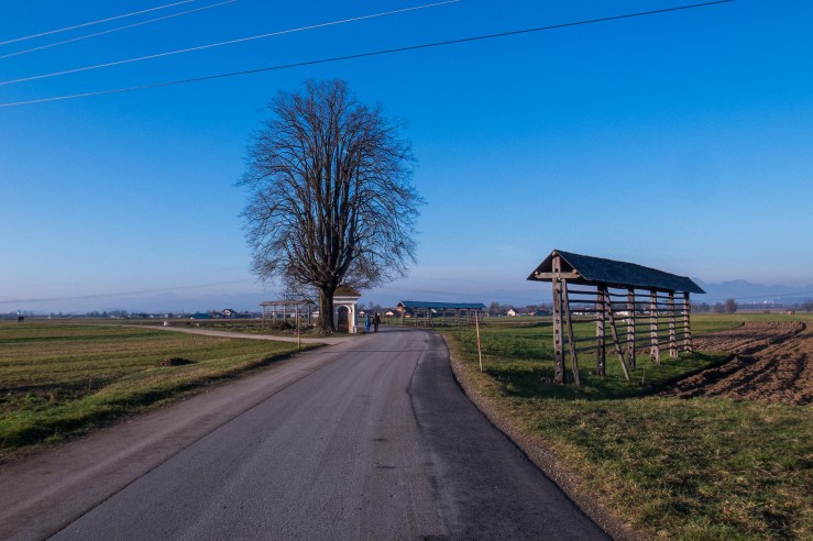 23905153371_4496e1c7e7_k