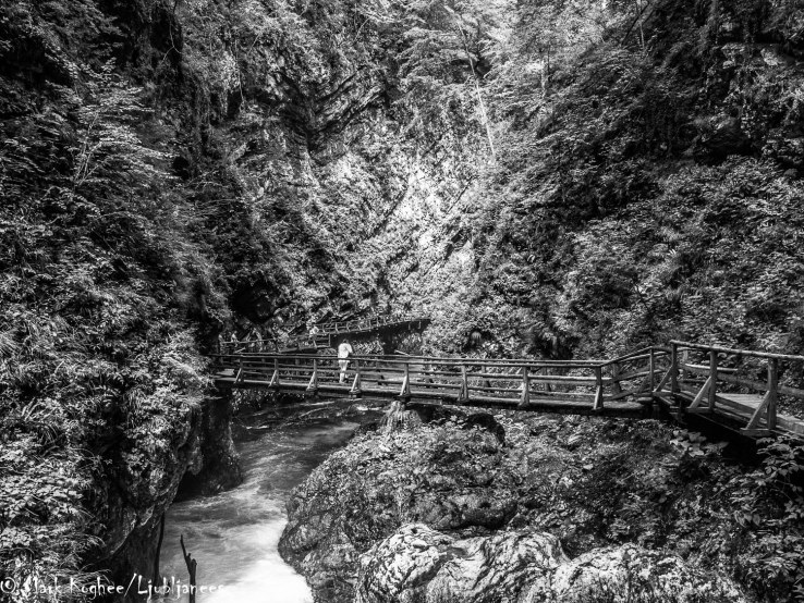 You can walk 1.6 kilometres through the Bled Gorge. Most of the way goes over wooden bridges.