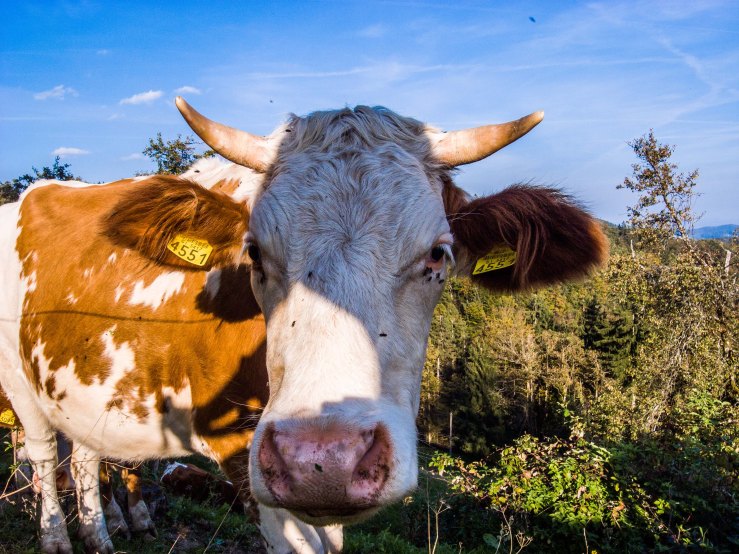 I like the social aspect of cycling. You always make new friends on the way and always seem so interested in you. 